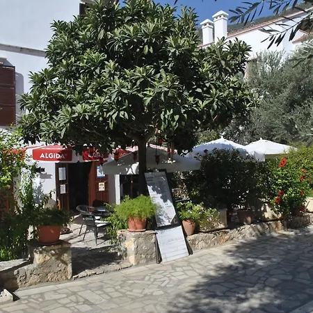 Dionysia Kalkan