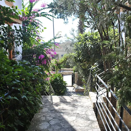Dionysia * Kalkan